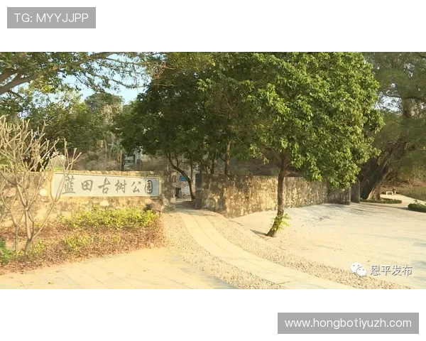 欧博官方网站客服支持与常见问题解答,解决您的使用疑虑与困难 欧博官方网站客服支持与常见问题解答,解决您的使用疑虑与困难